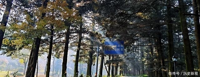 庐山风景区|自驾房车或床车慢游庐山，推荐三至五日旅行攻略