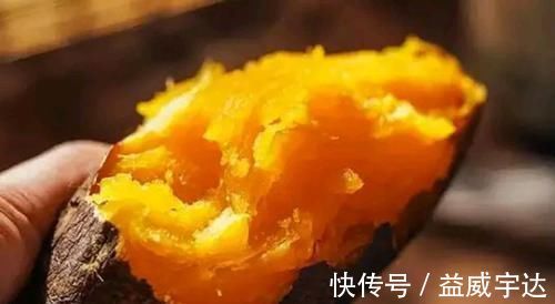 红薯|晚上吃红薯能减肥!可为什么有些人吃红薯没瘦反而胖了?原因有三
