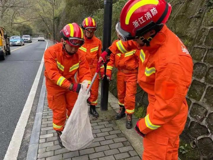 哎哟，吓人！1米多长的眼镜蛇，在西湖景区公交站旁“晃荡”