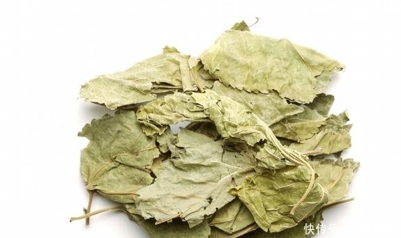 降血糖|“糖友”用桑叶泡水喝，谨记3个“不要”，别总是喝错了！