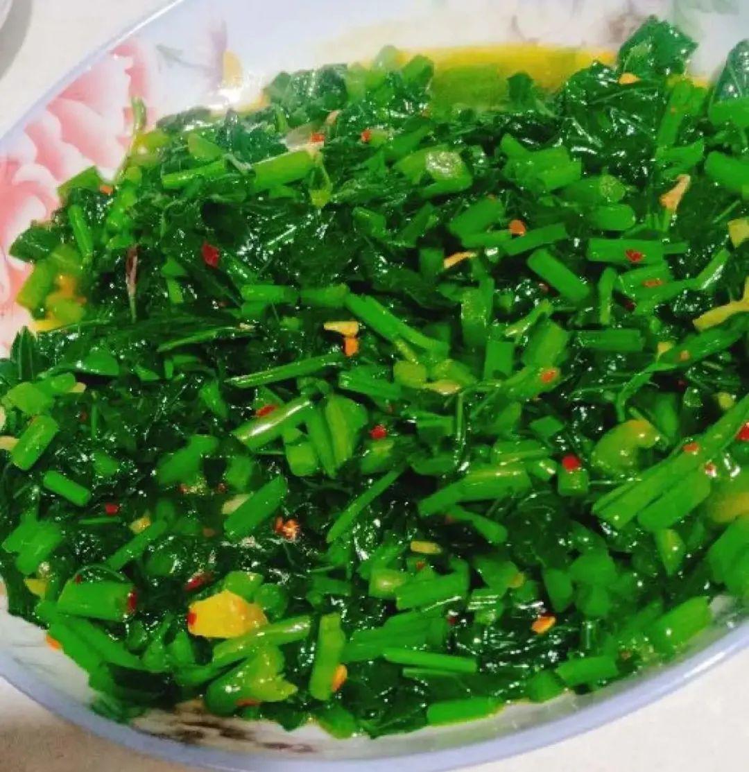 玉米棒子插盆里,7天冒出小森林,比绿萝吊兰好看