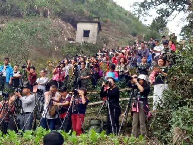 长溪村|婺源赏枫长溪村，石城游记