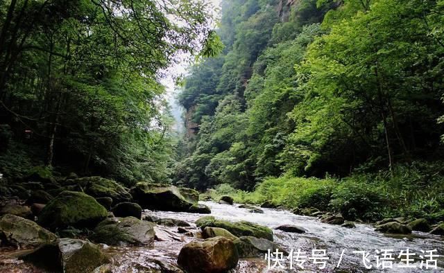 电梯|中国一座让人走到崩溃的景点，上山只要66秒，下山却要花2小时