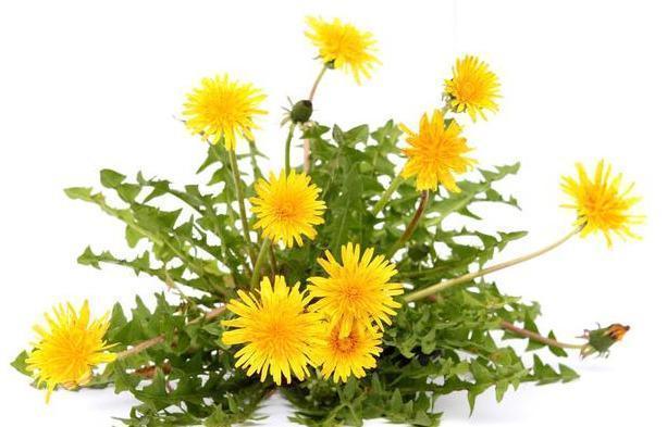 三水|肝不好的人,吃三食、喝三水、做好三件事,让肝慢慢好起来