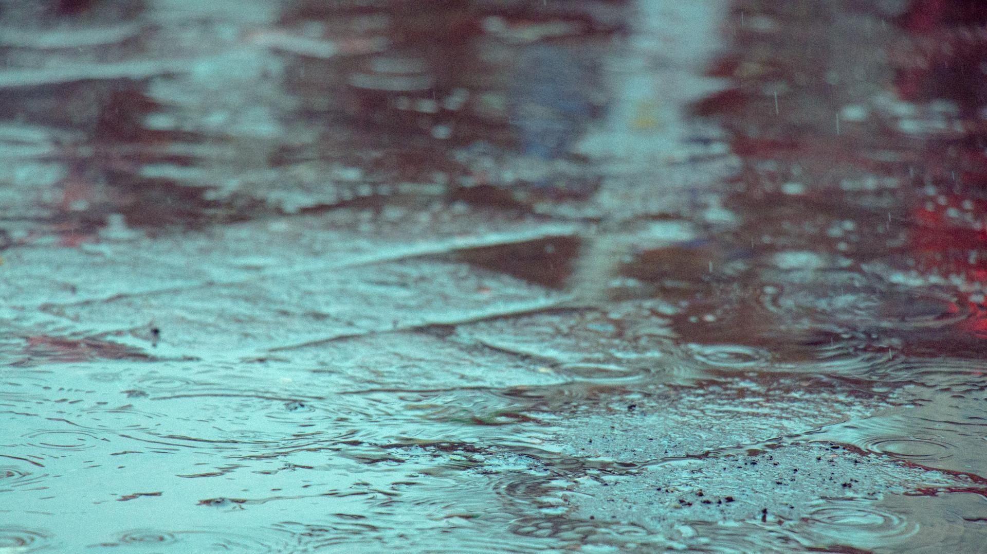 雨滴|一场春雨一场暖,春雨怎么拍才有味这些作品给你灵感