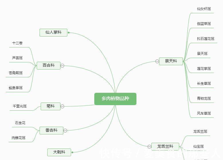 白牡丹|叶插，浇水，渡夏，多肉新手入门问题看这一篇就够了