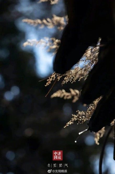大吉日$冬至日 祝您浅喜暖望、岁月无忧!