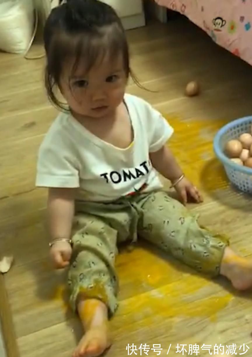 樱桃番茄|最会造的宝宝,妈妈看了哭笑不得,网友:拆家技术,跟二哈有一拼