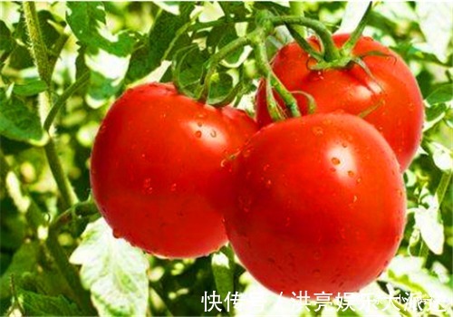 润肠|中年女性可以坚持吃4种食物,排毒润肠,预防子宫早衰,增强抵抗