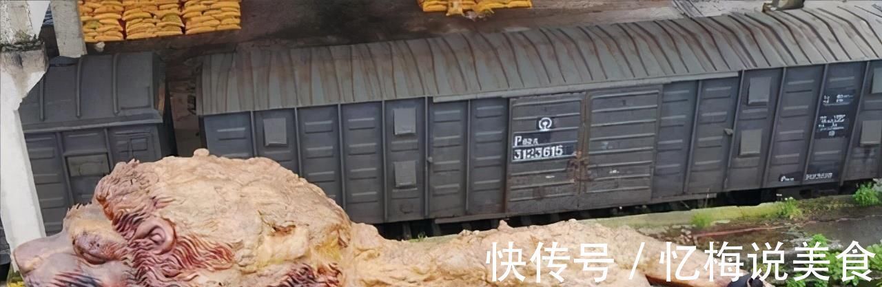 匠人@一匠人雕15米30吨重“雄狮”,称没1000万不卖,今宝物变“废品”