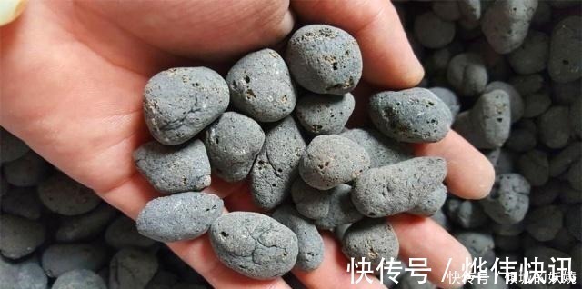 植料|工地边的“3种石料”没人要,却不知,都是栽花好料,养啥花都旺