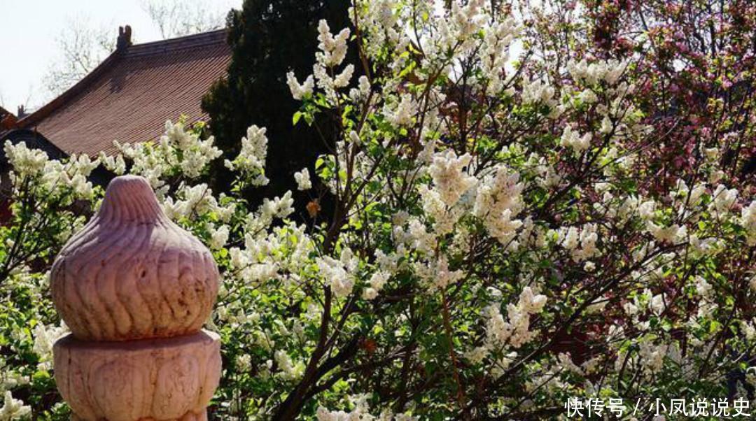 岑参两首不可不读的经典,每一首都很孤独,写出了繁华过后的落寞