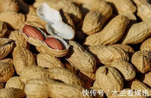 花盆|这2种“东西”丢掉可惜,掺在盆土里,养啥都旺!