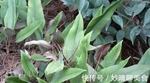 消炎|男人要养护前列腺,5种食物要多吃,保护“前列腺”炎症不来扰