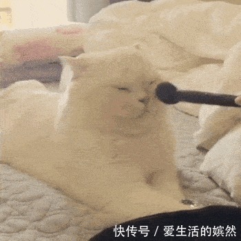|搞笑GIF:我不想跳舞,非要天天拉着我来,真没意思