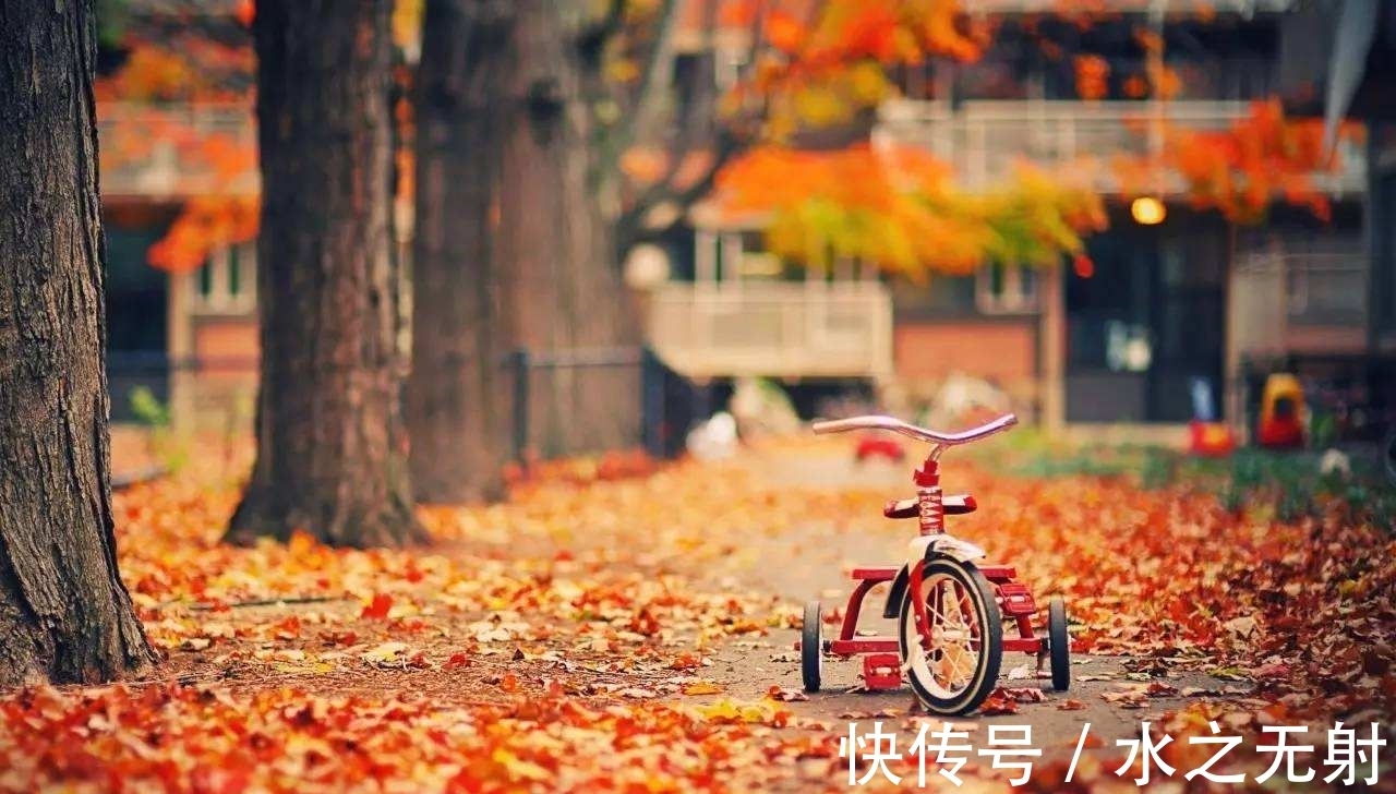 佛教|唐代诗僧的一句诗,写尽了诗意的秋天,却让人怀念故人