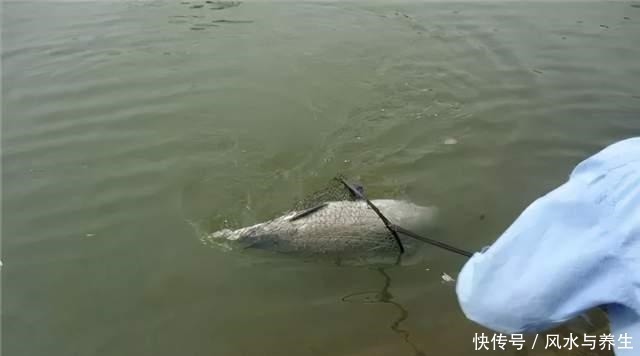 钓到大鱼第一步,你得先找到符合这两点特征的水域