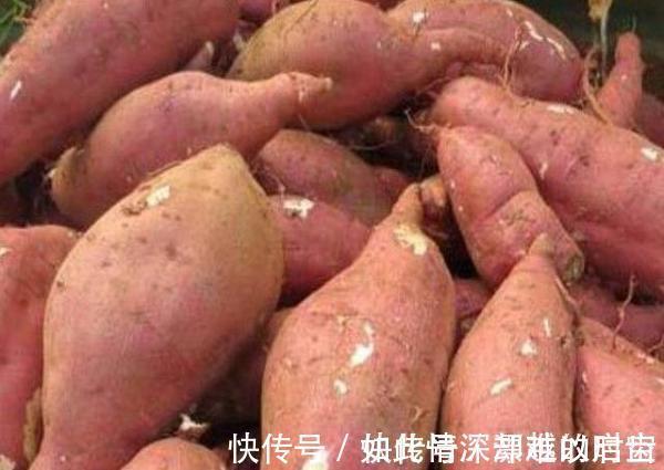身体不适|红薯被称为“长寿果”， 但最好不要与此物同食