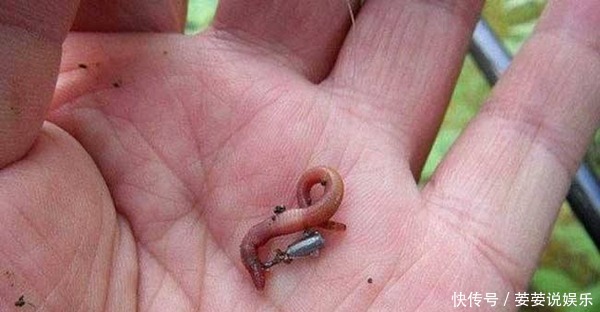 漂相|冬季钓鲫鱼,七星漂钓组提升灵敏度的几个方法,轻微漂相也能中鱼