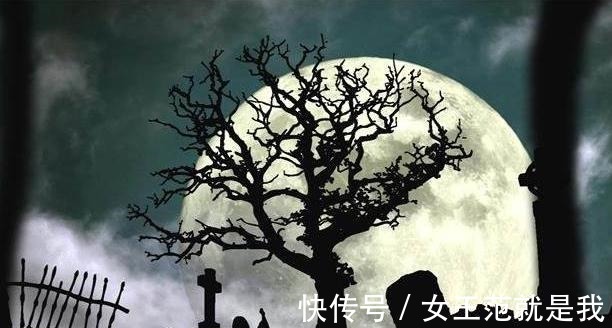 学霸的黑科技系统#推荐4本精彩绝伦的完本小说,剧情跌宕起伏,新老书虫拍手叫好