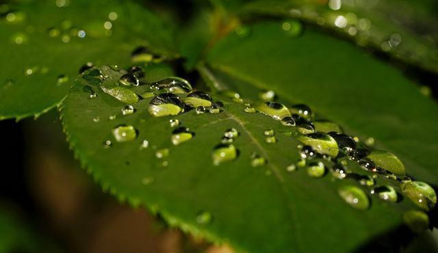 明哲保身&越是深藏不露的人,往往懂得这三条天规,懂一个,就很好!