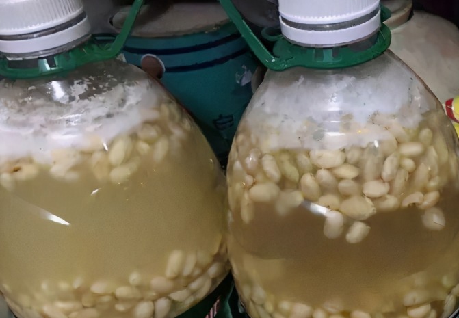 发酵|花盆土发硬，加上一碗水，轻松解决，土壤疏松肥力足