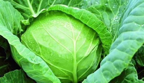 罪魁祸首|7岁女童瘦得皮包骨,停止发育,医生:3种带娃方式是罪魁祸首