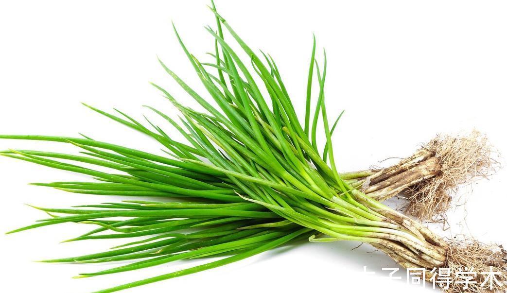 多汁|葱油鸡,一道做法简单的广东名菜,葱香十足,鲜嫩多汁又好吃