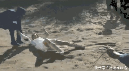 素质|赵丽颖“扒拉菜”被嘲农村人没素质,农村人怎么了?