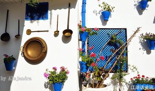 不一样的“庭院花园”，花草都上了墙