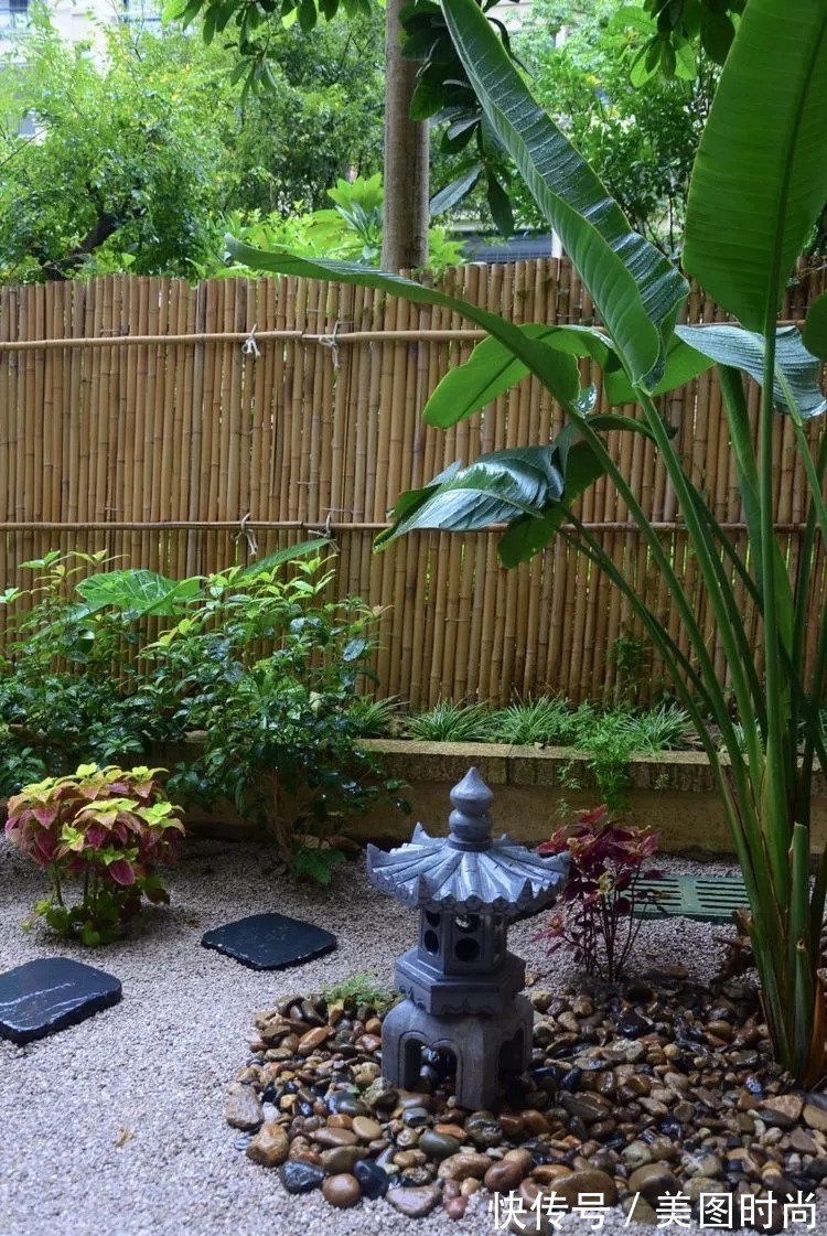 三角梅|120㎡别墅花园改造,经过三年的努力,小院从荒地到花开满园