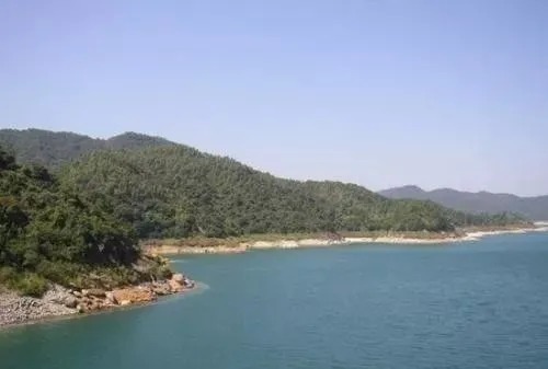 冬钓鲫鱼，水底是否有鱼，只需看“一点”，老手才懂！