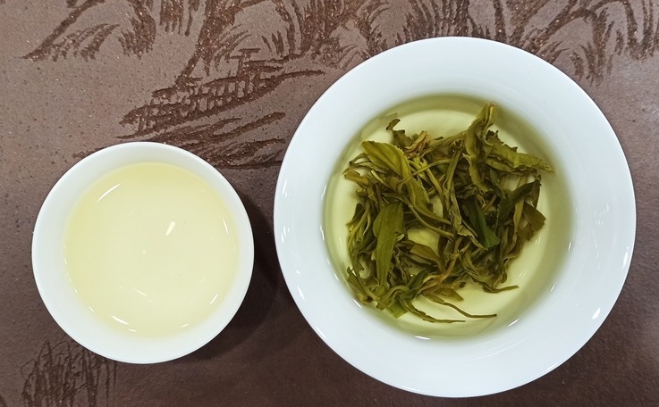 白茶|中国各省产茶名录