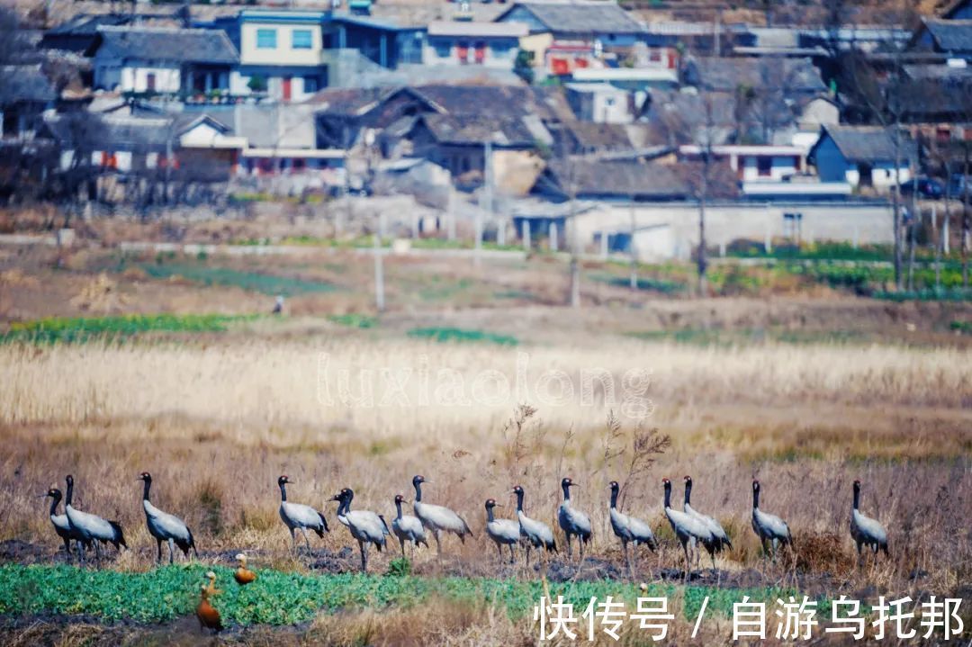 谷狭|走，去毕节，过21℃的夏天！