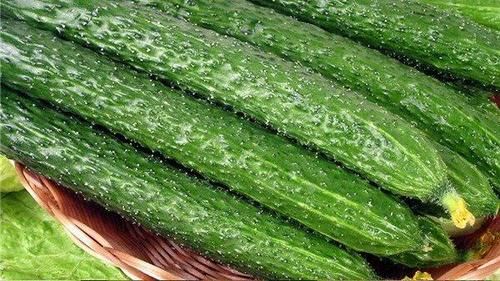 黄瓜|夏季养肺,这几种食物可多吃,或利于肺部健康