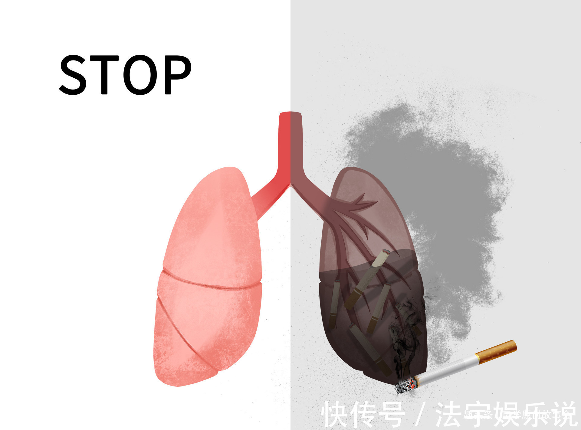 生存|肺癌根本不用治肿瘤科医生提醒,只要做好五点,可以长期生存