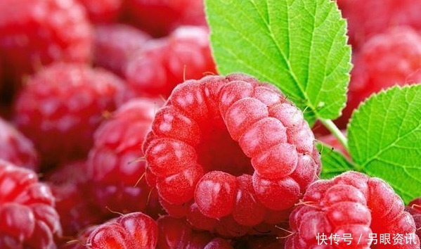 阳台|这四种果树放阳台养,一盆能挂满果,居然节约不少买水果的钱