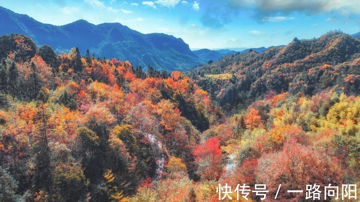 仙女山|秋高气爽，去武隆看这些风景刚刚好