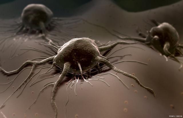 慢性炎症|全球1/6癌症由它引发！国际癌症研究所：2大慢性炎症要及早治