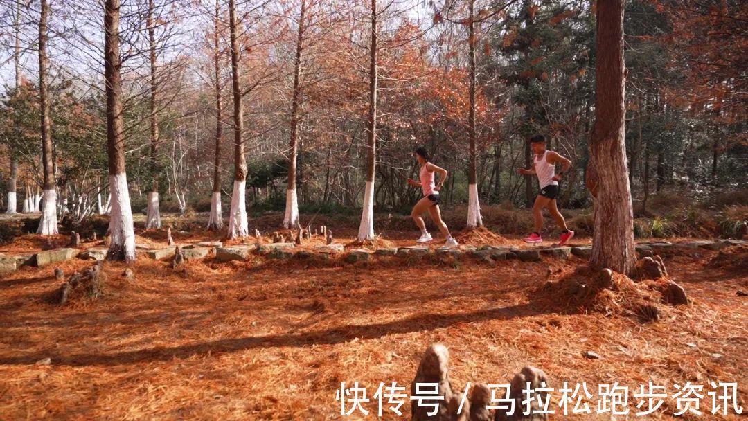 半程马拉松|倒计时2天!2022年首场金牌马拉松新闻发布会及报名即将开启!