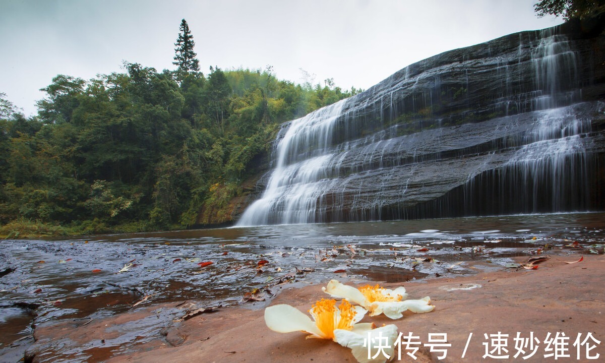 长滩|赤道附近保存比较完整的原始森林 开学季来这里写生 不虚此行