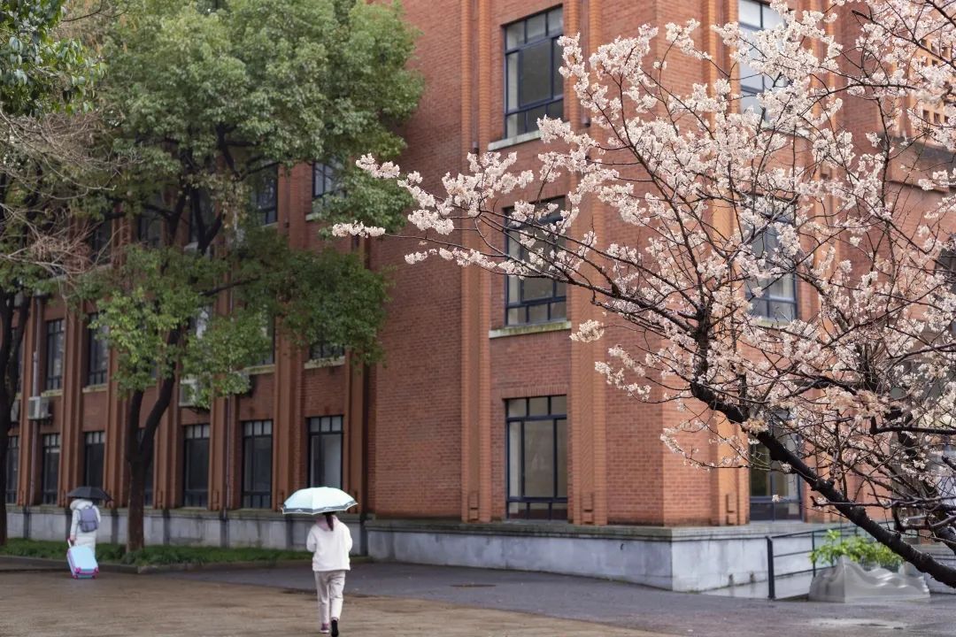 我“雨”最美校园，一起云赏沪上46所高校雨中即景