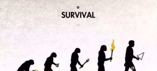 动物|天天举铁训练,肌肉还不大为何动物不运动肌肉发达程度远超人类