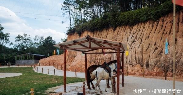 炎炎夏日|潮州绿太阳，炎炎夏日居然还能看见雪！潮州绿太阳，炎炎夏日居然还能看见雪！