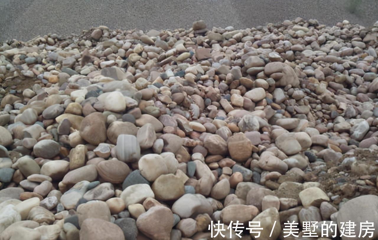 花盆|养花不花钱，花盆放4种“小垃圾”，不怕积水，不再烂根