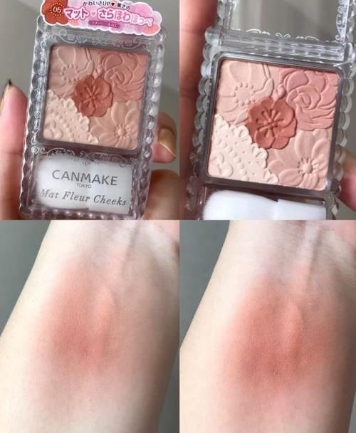 有哪些平价好用的腮红推荐，适合女孩~吃土