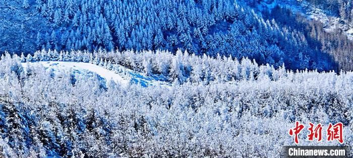 美景|春雪后的六盘山 美若山水画卷