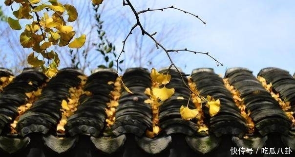 《中庸》六句名言,道出中华文化精髓!