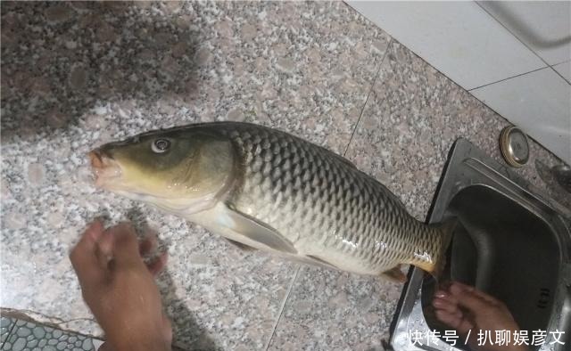 关注|关于台钓法的一些经验技巧,满满的经验之谈,钓鱼新人值得关注