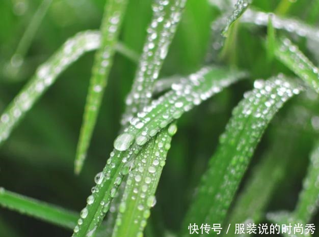 竹一味|《舌尖上的惠州》龙门的竹筒盛宴